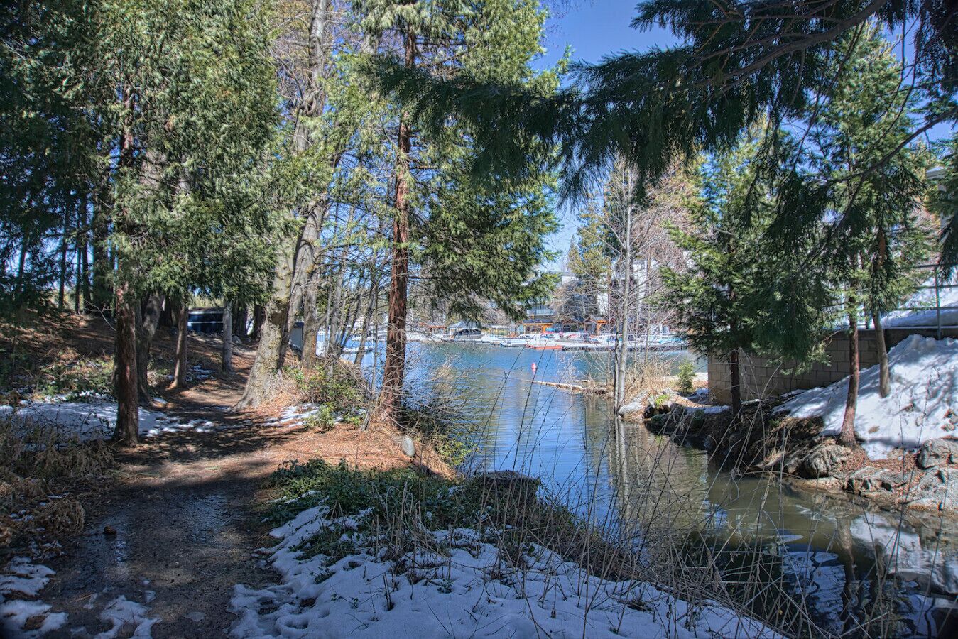 A serene lakeside path surrounded by tall pine trees with snow on the ground and a clear blue sky.