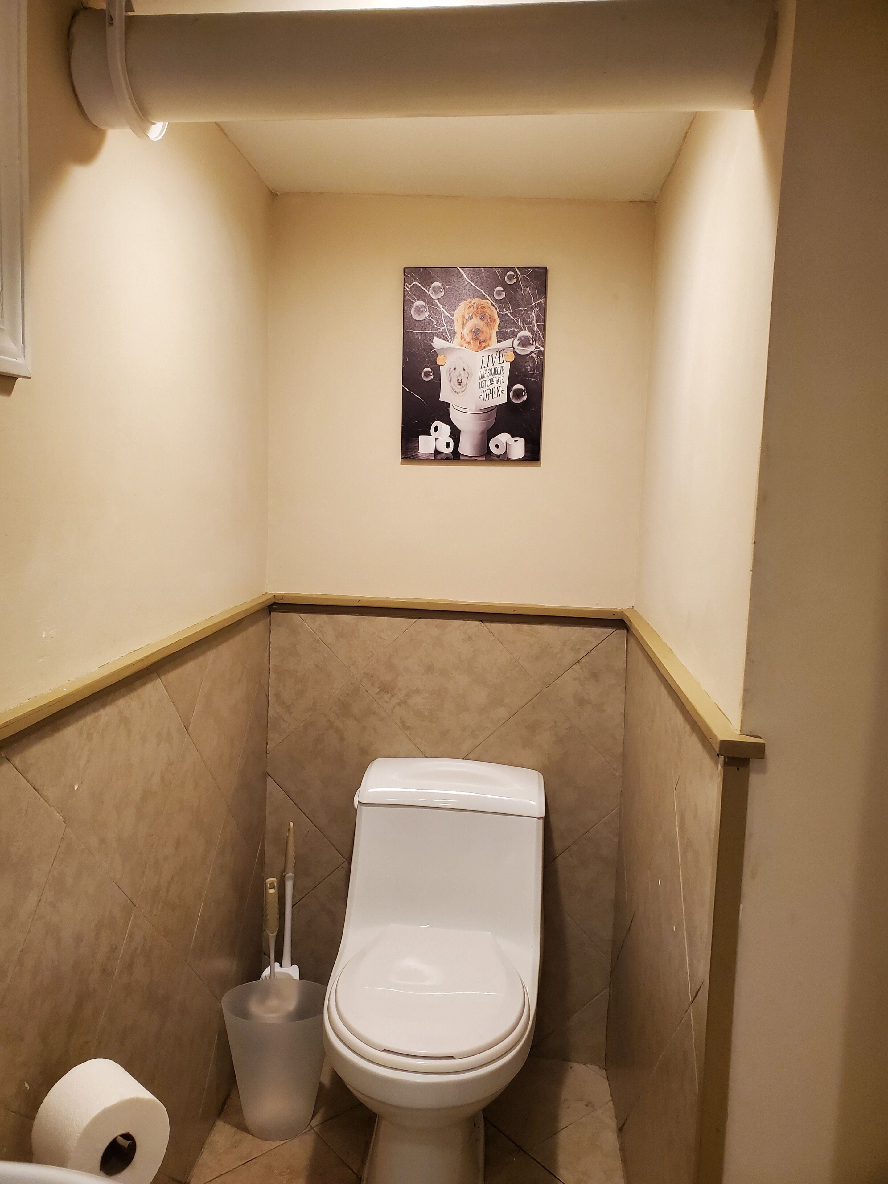 A small bathroom with a toilet, a roll of toilet paper, and a plunger.