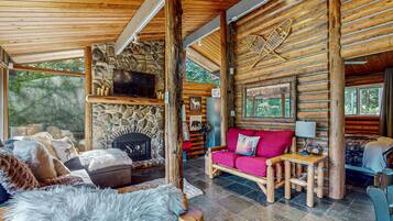 TV, fireplace, DVD player, video library