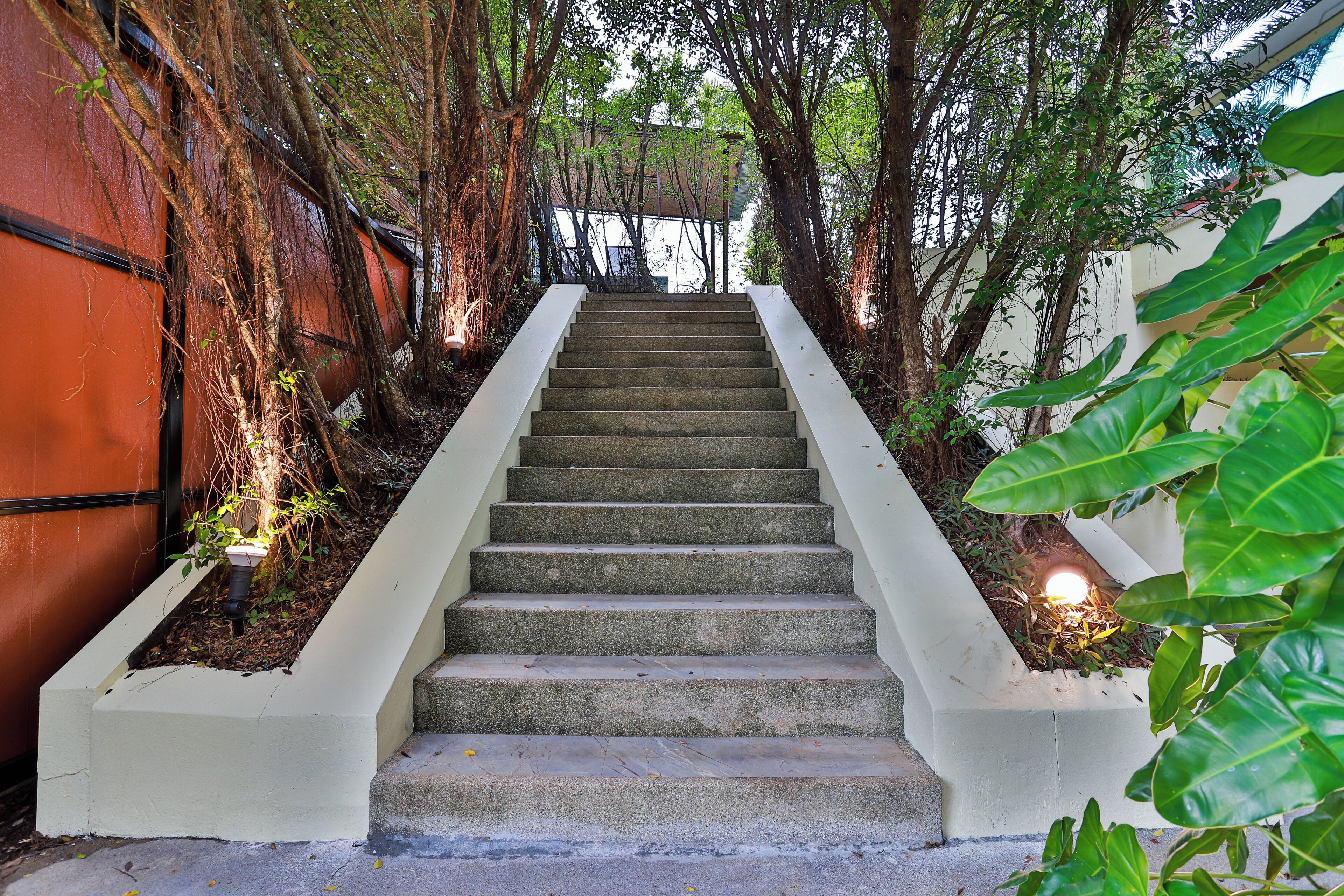 A staircase surrounded by trees and plants, leading to an upper level.