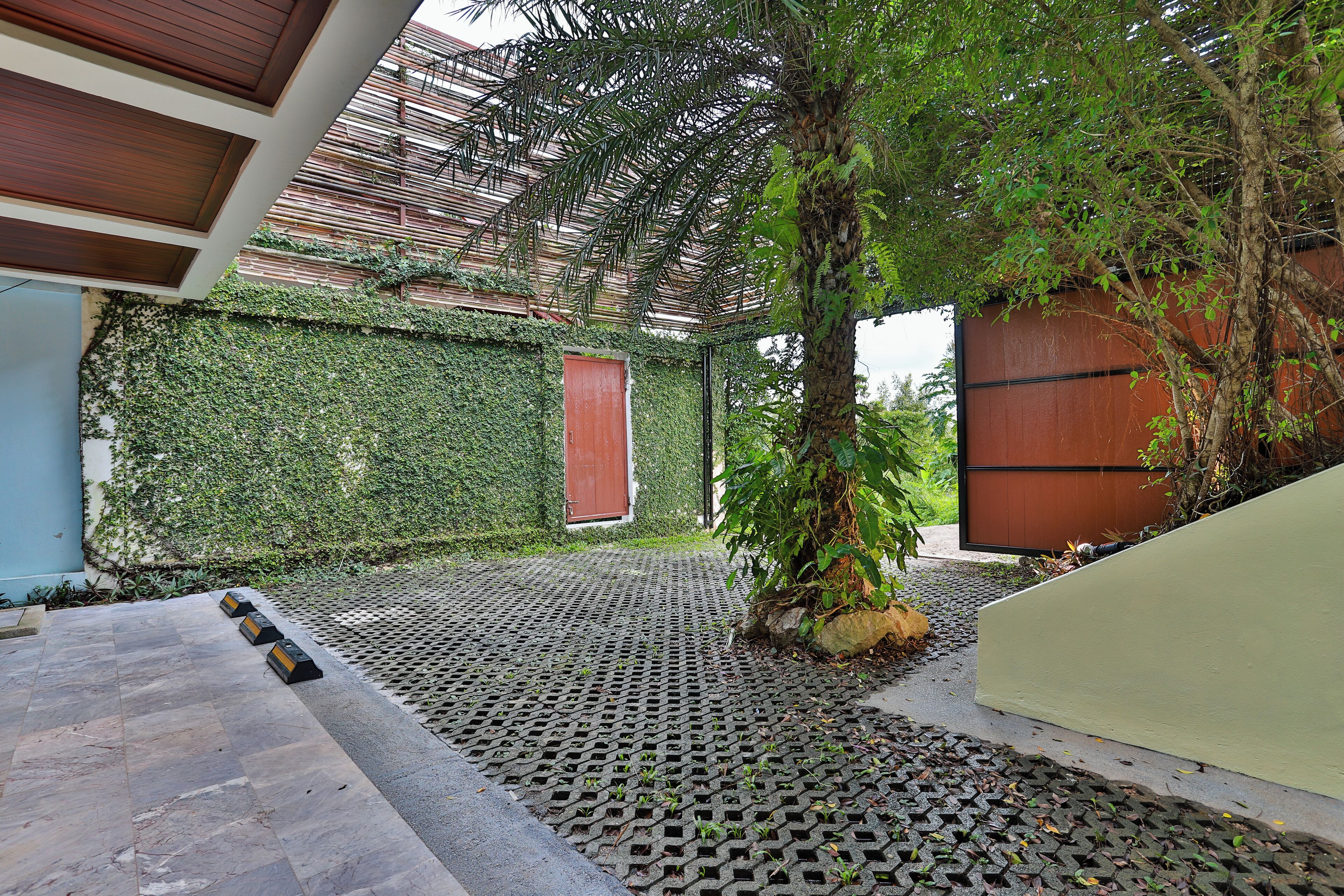 A covered outdoor area with a patterned floor, a palm tree, and a wall covered in greenery.