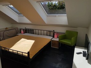 Una camera da letto con un letto, una poltrona verde, una TV e lucernari.