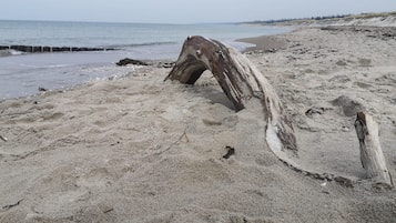 Spiaggia