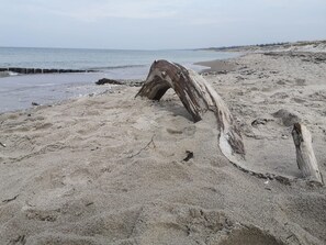 Una playa arenosa con un gran tronco de madera a la deriva.