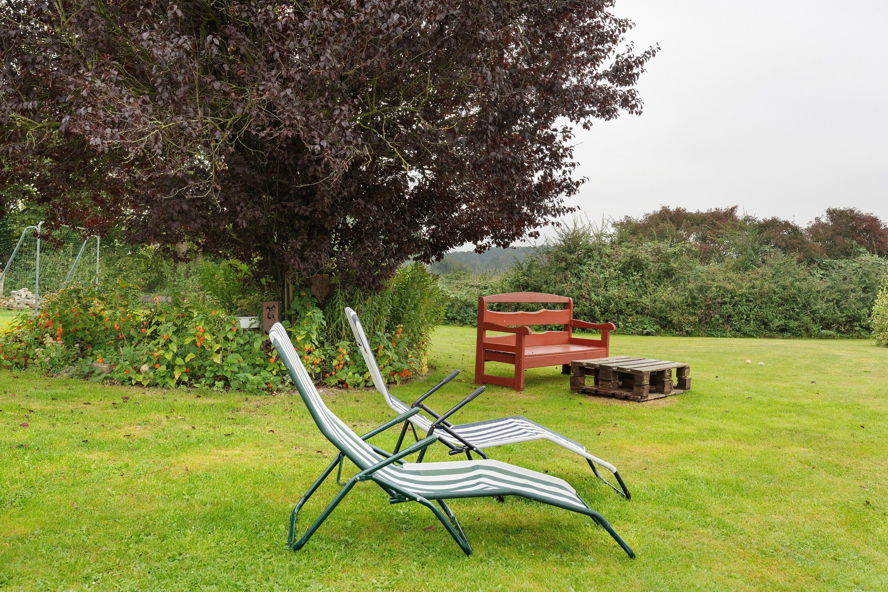 Un espace herbeux avec un banc et deux chaises longues à rayures.