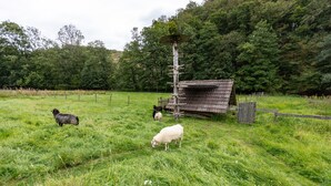 A grassy field with a wooden structure and a metal pole with a solar panel. - Apartment 'Am Quellental' with Private Terrace, Private Garden and Wi-Fi (Meinerzhagen)