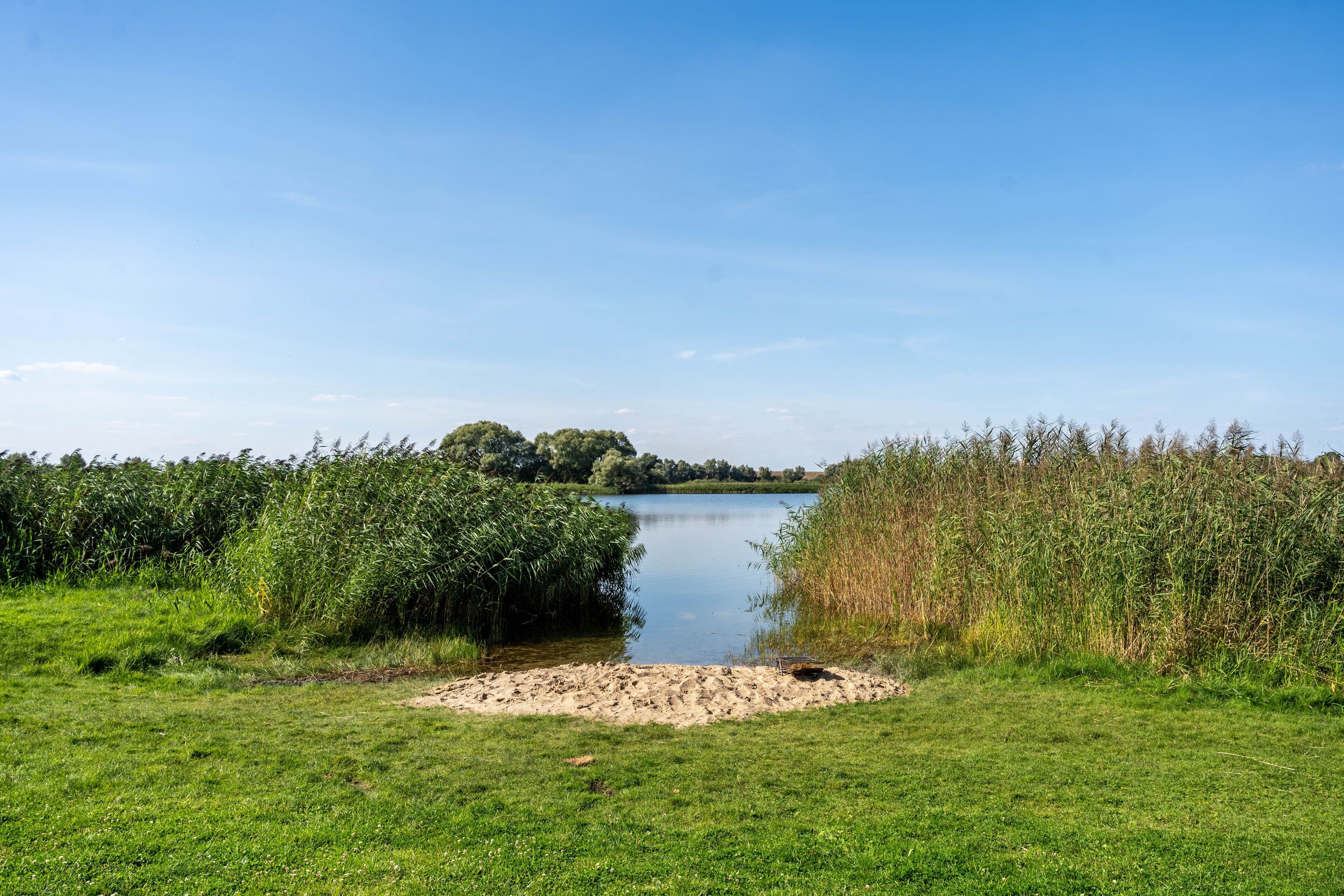 Un fiume con sponde erbose e alberi sullo sfondo.