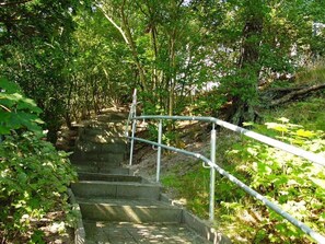 A set of concrete steps leading up a hill, surrounded by dense greenery and trees.