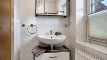 Shower, hair dryer