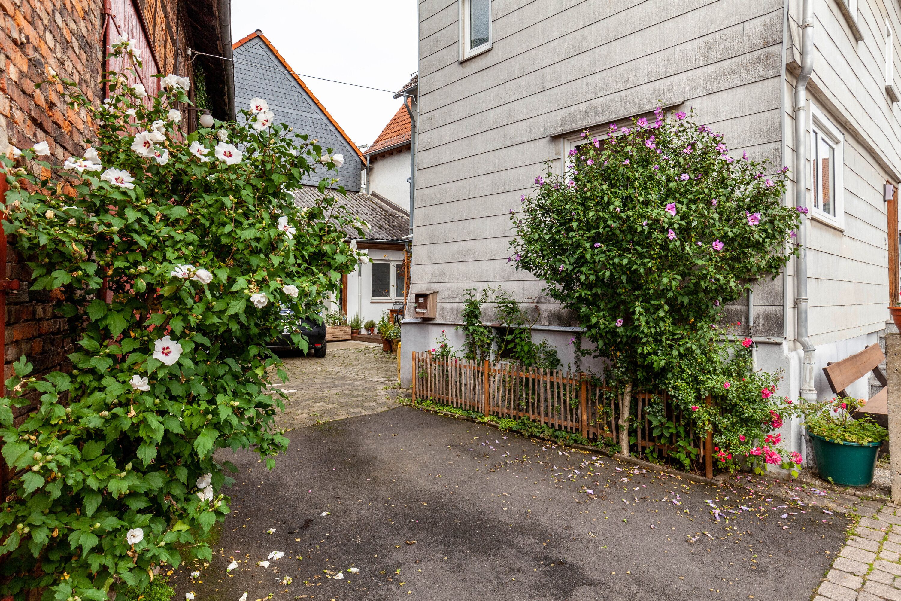 Jardines del alojamiento