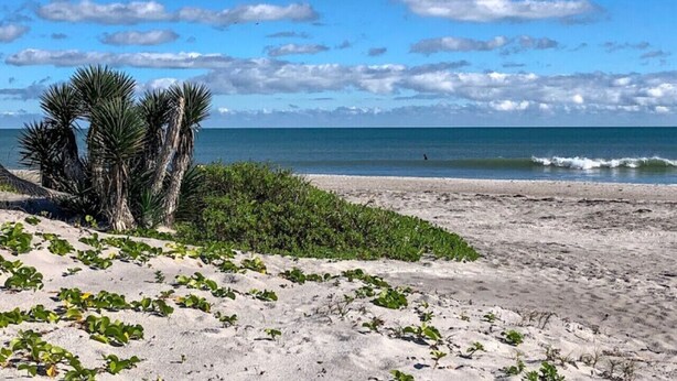 Een strand met zand, groene begroeiing en de oceaan.