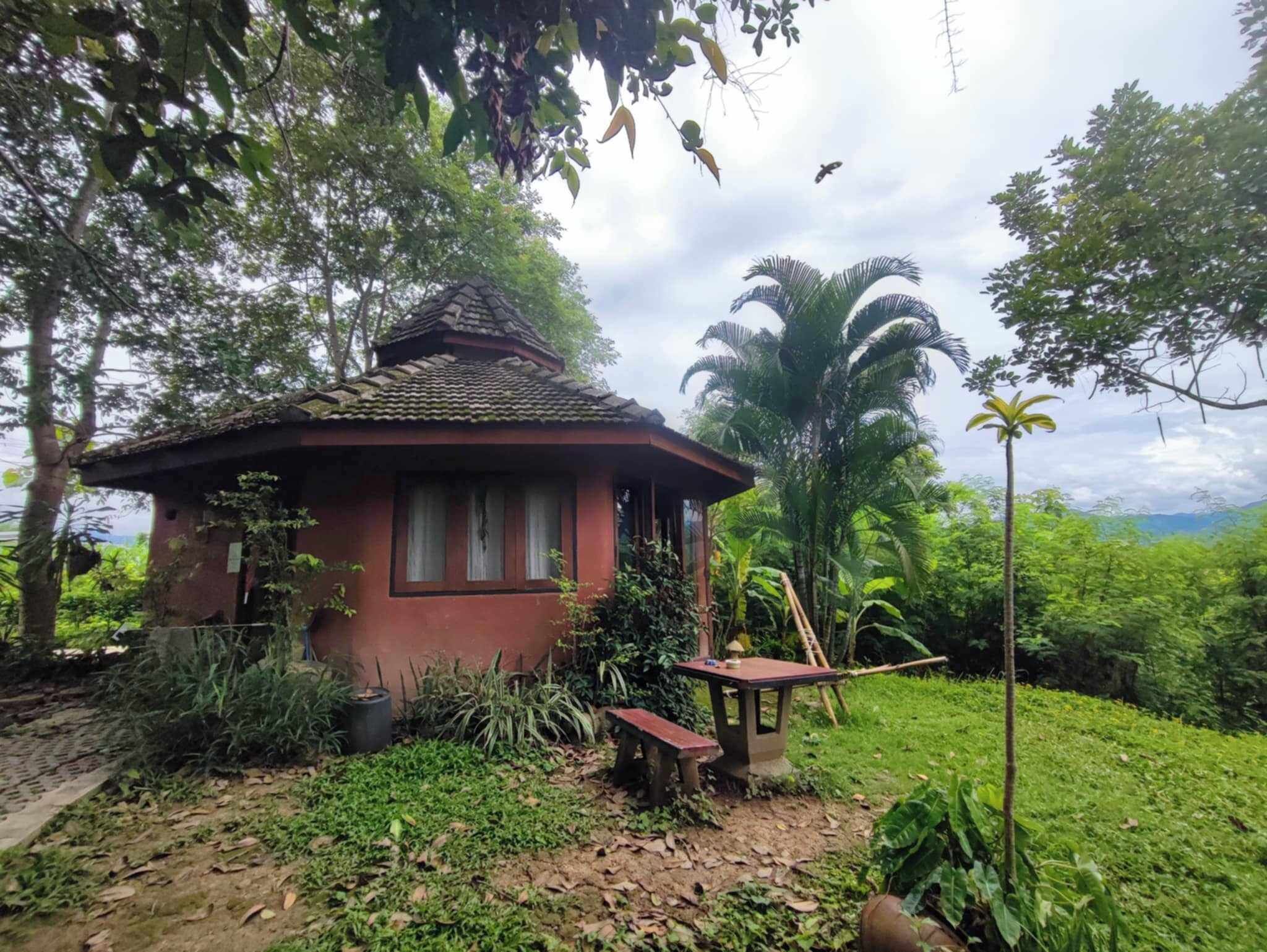 Ein kleines, rustikales Haus mit Ziegeldach, umgeben von üppiger Vegetation und einer Palme.