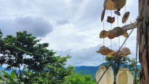 A lush garden with a variety of plants and a banana tree in the foreground. - The Lookout Pai (Pai)