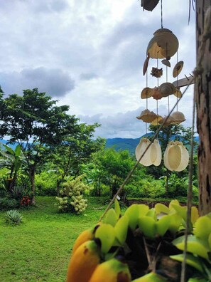 Exterior - The Lookout Pai (Pai)