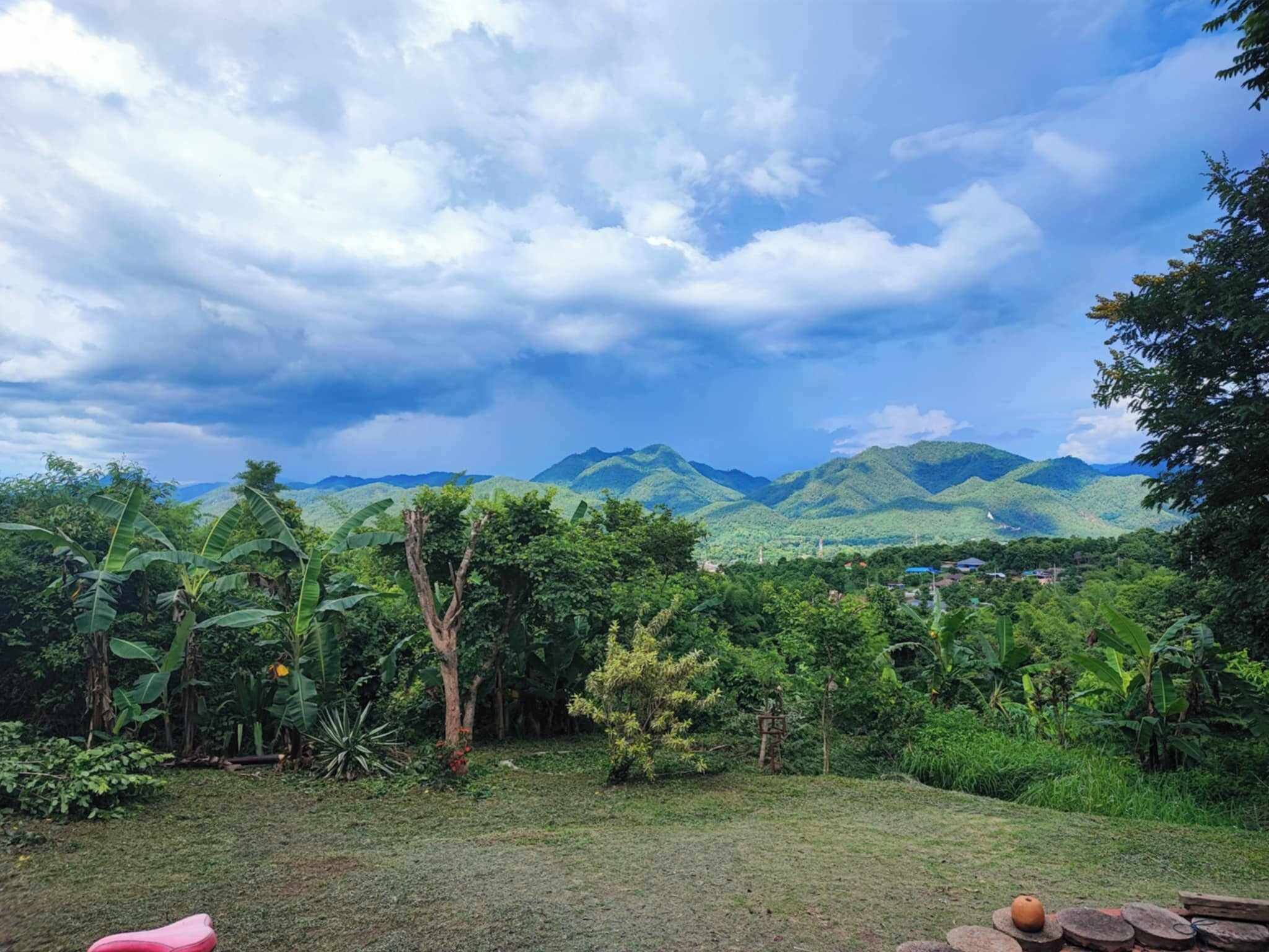 A lush landscape with mountains in the background, a grassy area with trees, and a pink object in the foreground.