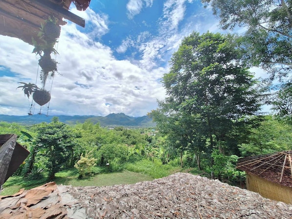 Exterior - The Lookout Pai (Pai)