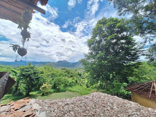 The Lookout Pai