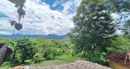 The Lookout Pai
