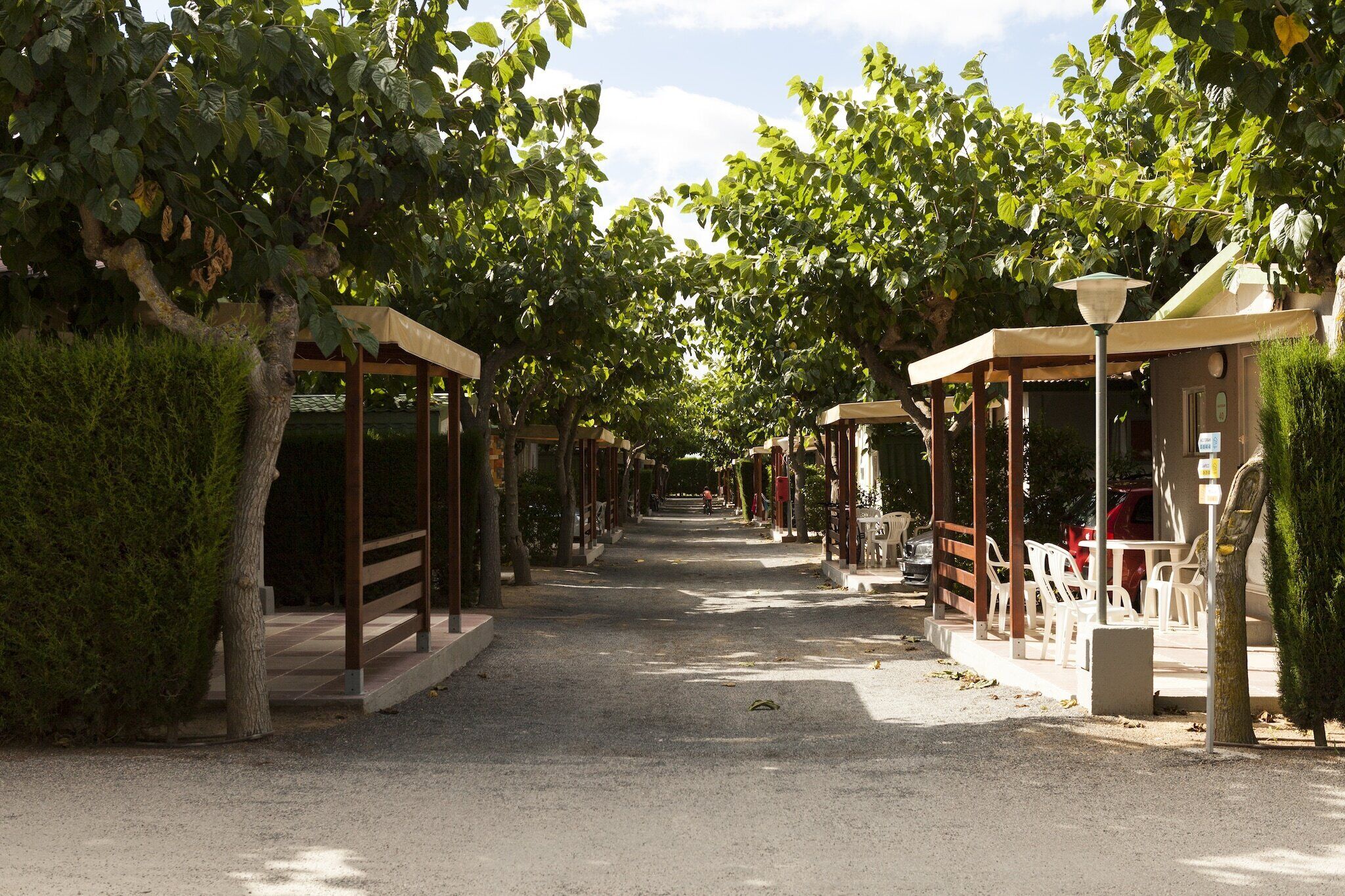 A pathway lined with covered seating areas and trees, leading to a building with a covered entrance.