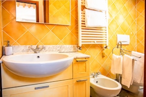 Shower, hair dryer, bidet, towels