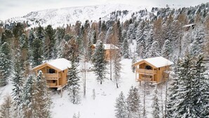 Two wooden cabins surrounded by snow-covered trees and a mountain in the background. - Awesome chalet with sauna (Turrach)
