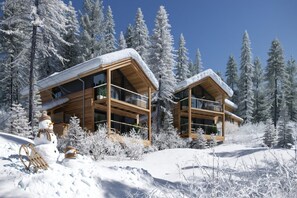 Ulkopuoli