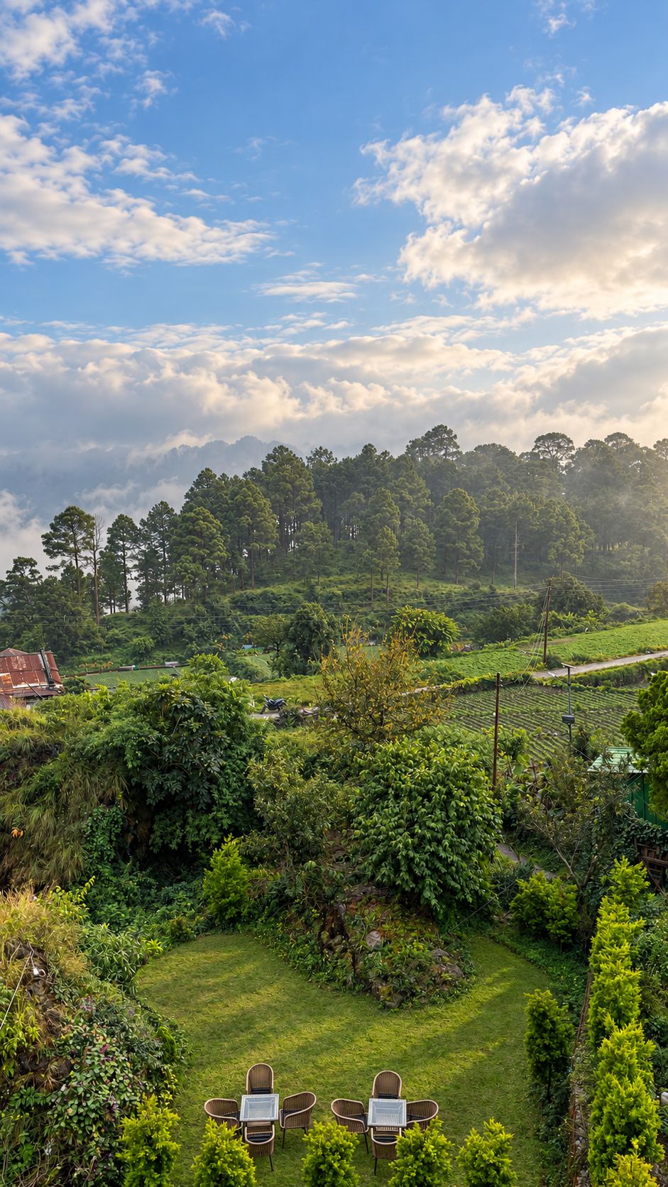 Un jardin luxuriant doté d’un espace aménagé pour s’asseoir et offrant une vue sur une colline boisée.