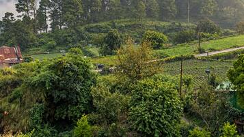 Un jardin luxuriant doté d’un espace aménagé pour s’asseoir et offrant une vue sur une colline boisée.