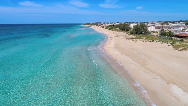 Une plage aux eaux turquoise et limpides, bordée d’un rivage sablonneux.