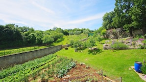 A garden with various plants and a stone wall. - Charming 3-bedroom house with private pool and beautiful garden (Šajini)