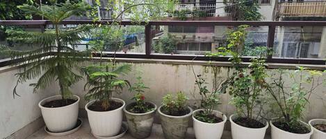 A balcony with potted plants and a view of adjacent buildings.