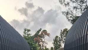 Un camino pavimentado que conduce a un edificio con techo curvo, rodeado de plantas en macetas y árboles.