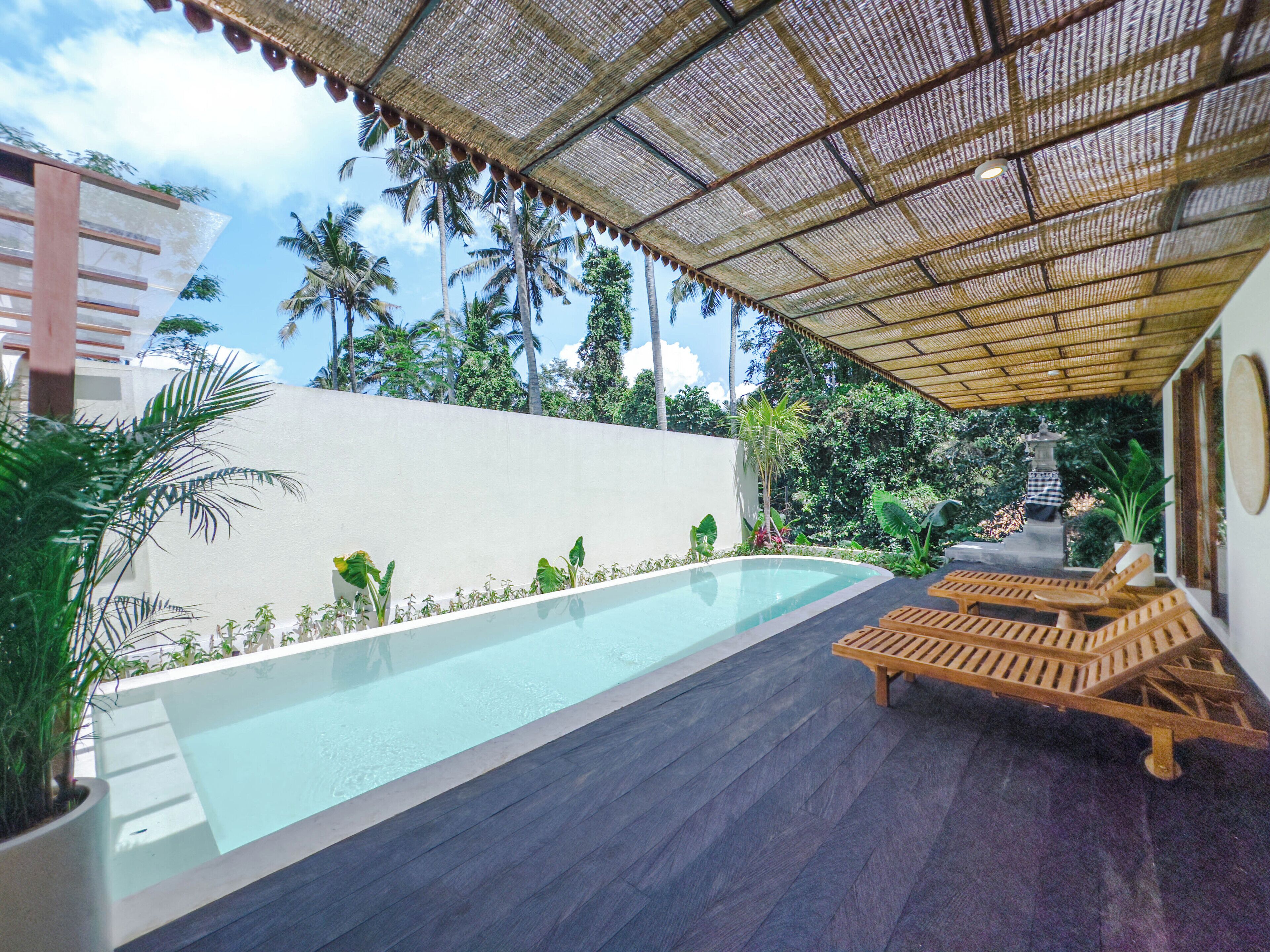 An outdoor swimming pool with wooden loungers, surrounded by tropical plants and a white wall.