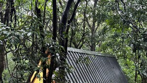 Una cabana rústica amb un teulat inclinat, envoltada per un bosc dens.