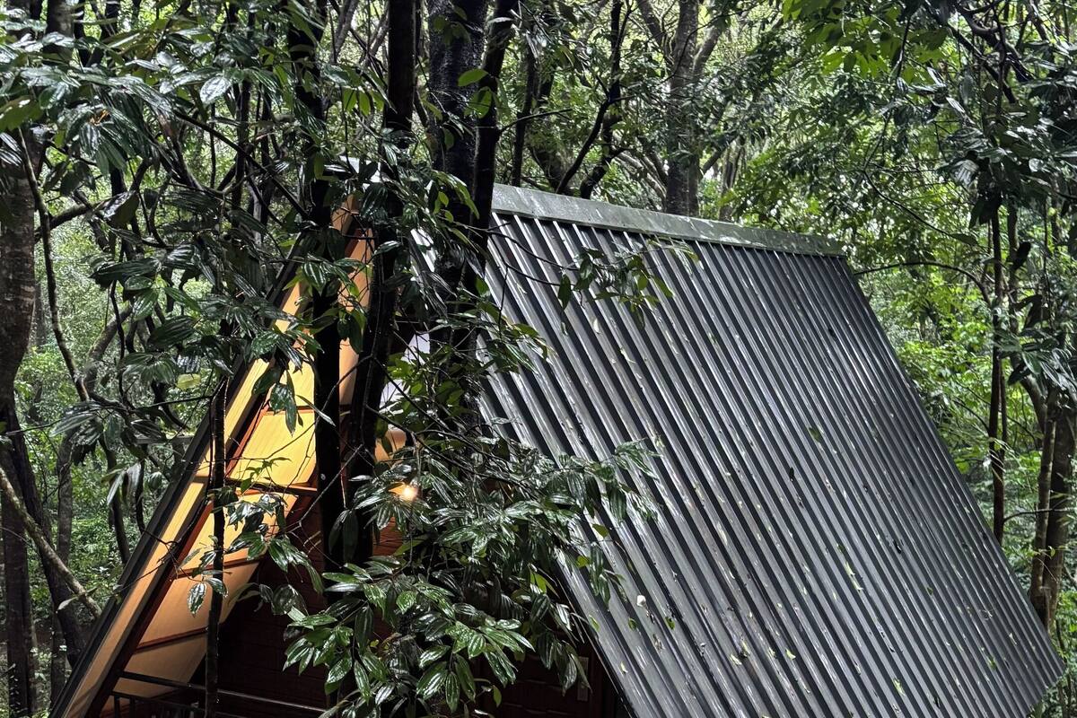 Eine rustikale Holzhütte mit geneigtem Dach, umgeben von dichtem Wald.