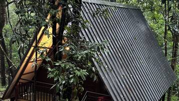 Premium Single Room | Premium bedding, individually furnished, desk, laptop workspace