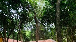Un camí que condueix a un edifici amb teulada de rajola, envoltat d'arbres i una zona de jardí amb una petita font.