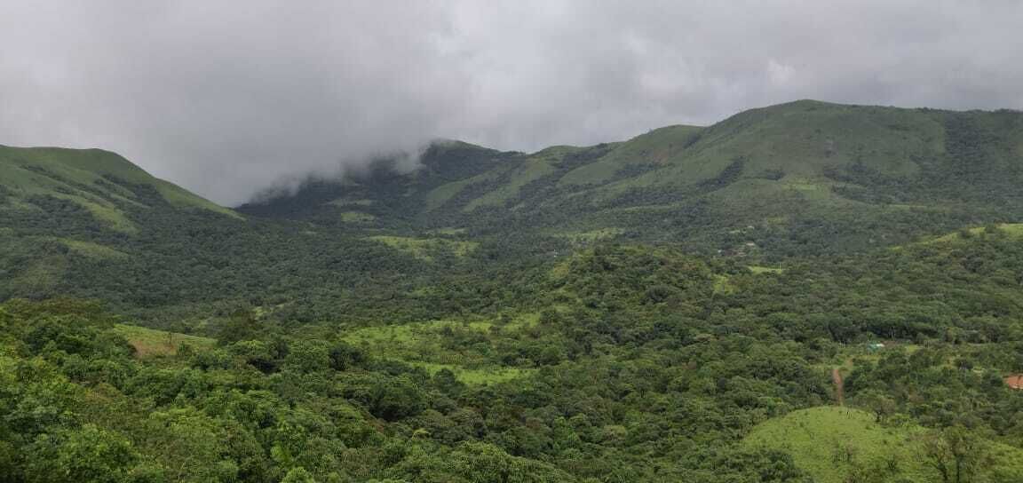 A lush green landscape with rolling hills and dense vegetation.