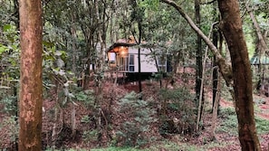 Escape to a secluded cabin surrounded by a dense forest, perfect for a tranquil retreat.