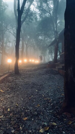 View from property - Aavarana Resort (Sakleshpur)