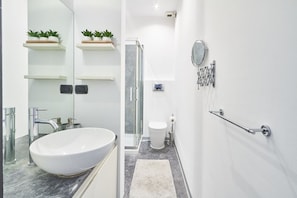 Shower, hair dryer, bidet, towels