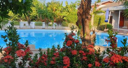 Nuch's Apple Guest House