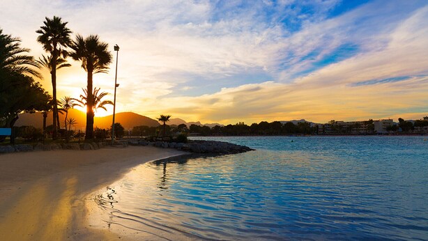 Una playa con palmeras, cielo despejado y un atardecer.
