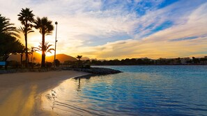 A beach with palm trees, a clear sky, and a sunset.