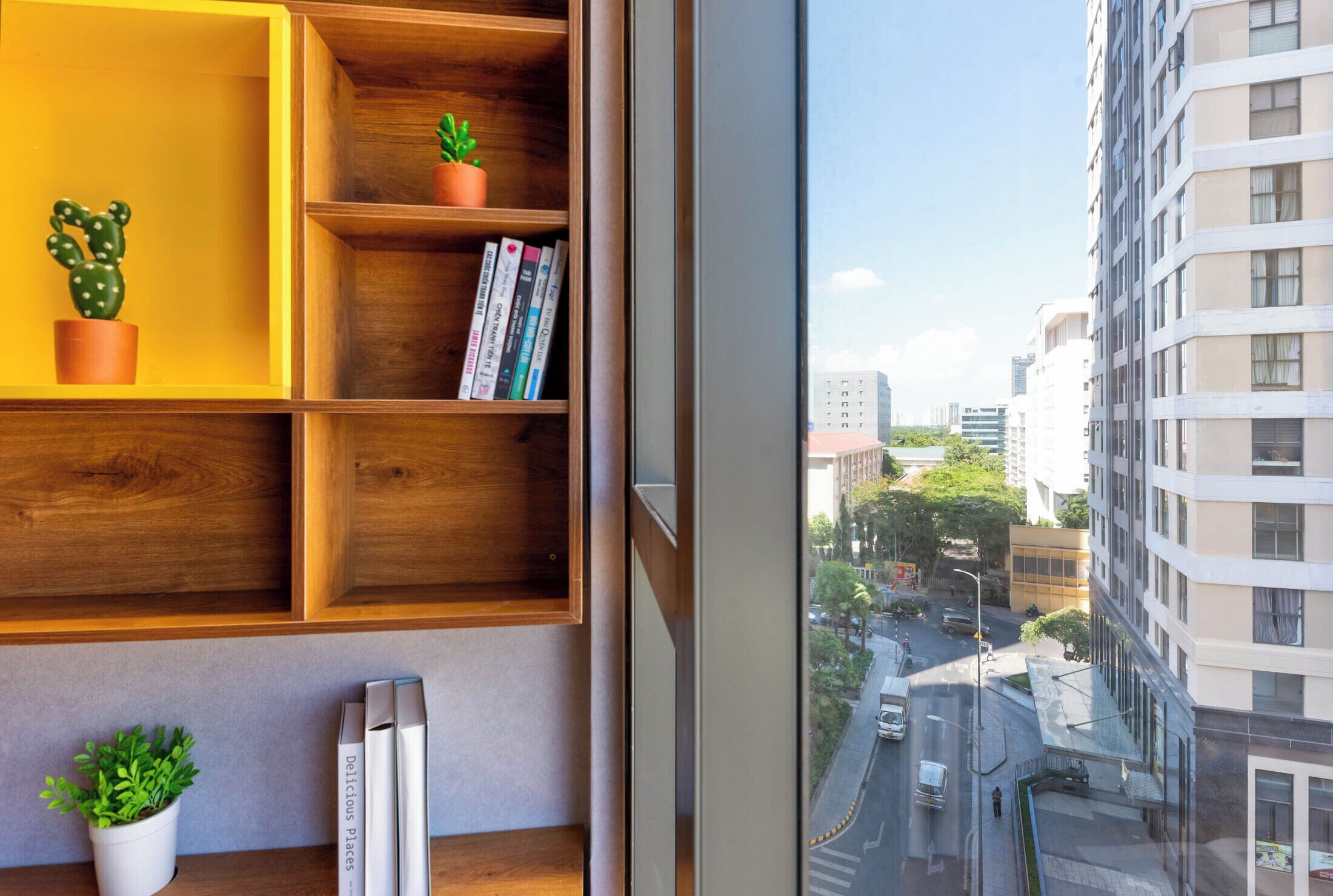 A room with a wooden bookshelf, a cactus, and books.