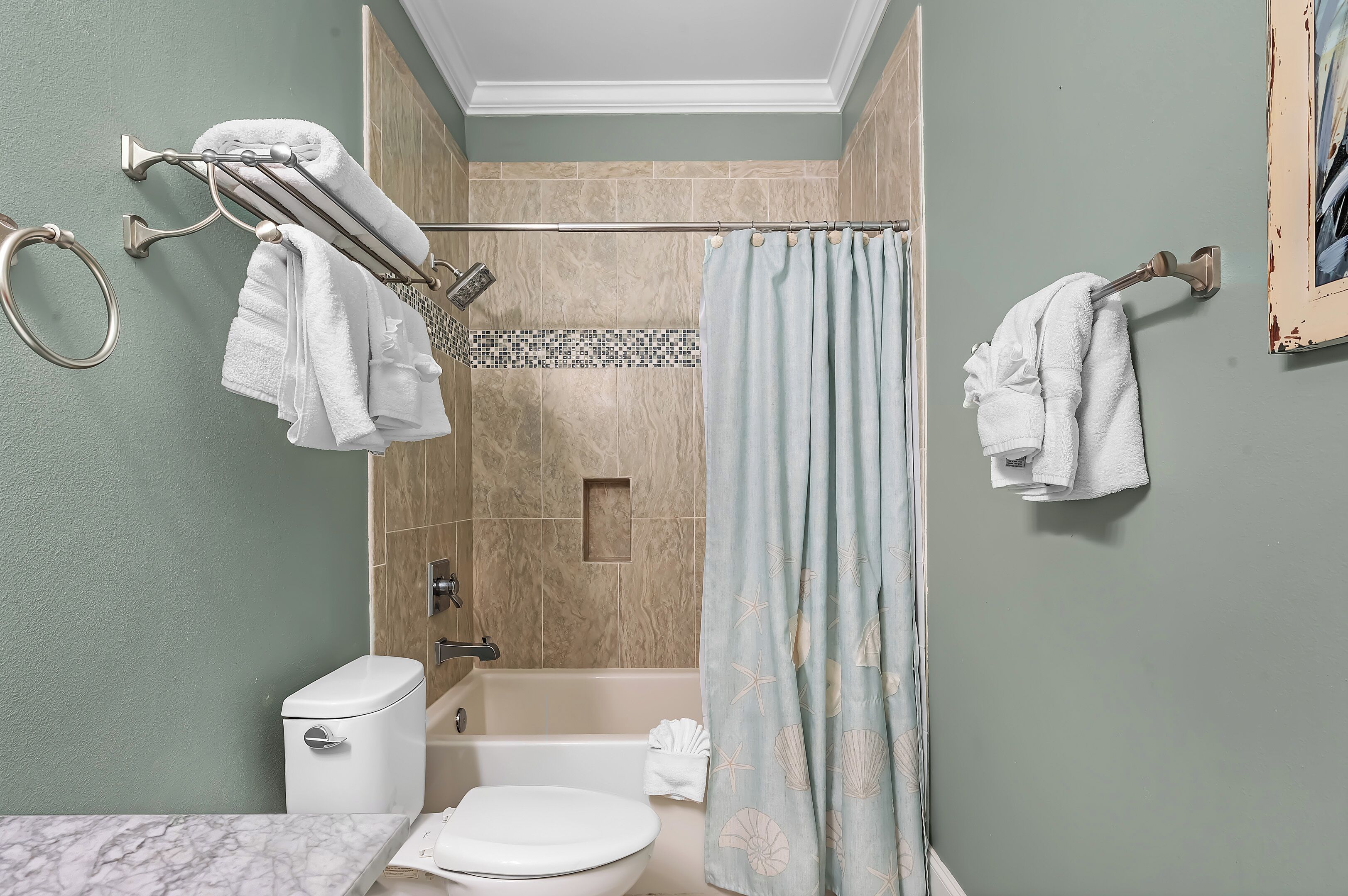 A bathroom with a toilet, bathtub, and shower curtain.