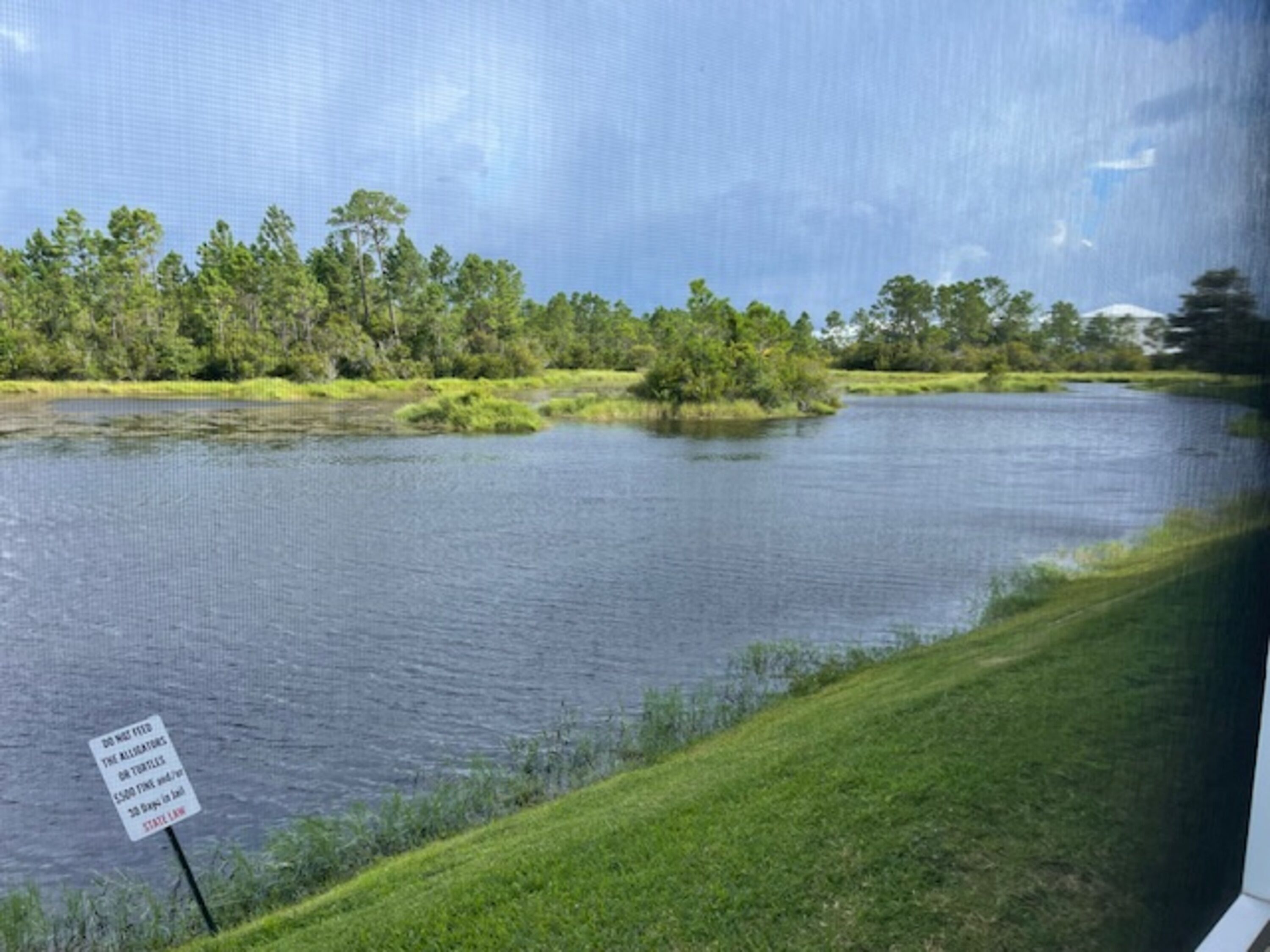 A lake with a grassy bank and a sign warning against feeding turtles.