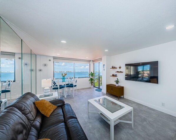 TV - Bahia 'Pelicans and Mermaids' (St. Petersburg)