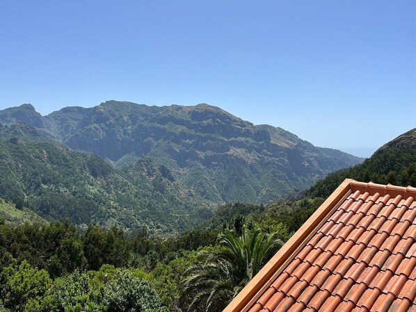 A mountainous landscape with a tiled roof in the foreground.