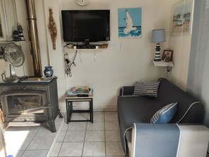 TV, fireplace, books